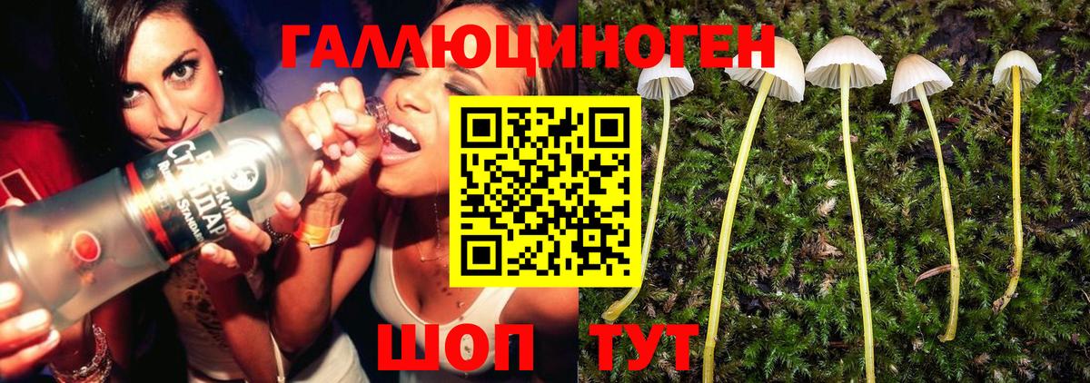  КОКАИН Кисловодск